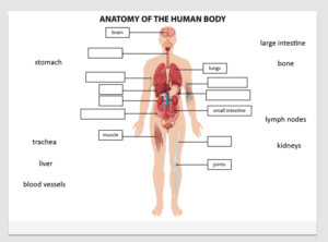 The Medical Interpreter Online - Cross Cultural Communications